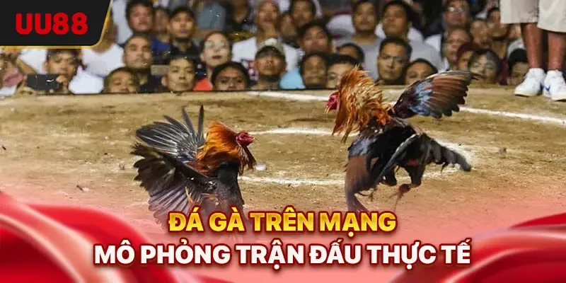 Đá Gà Trên Mạng - 3 Kinh Nghiệm Giúp Bạn Bắt Kèo Chuẩn Nhất 1 Đá gà trên mạng mô phỏng trận đấu thực tế