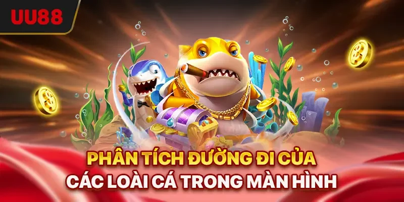 Phân tích đường đi của các loài cá trong màn hình